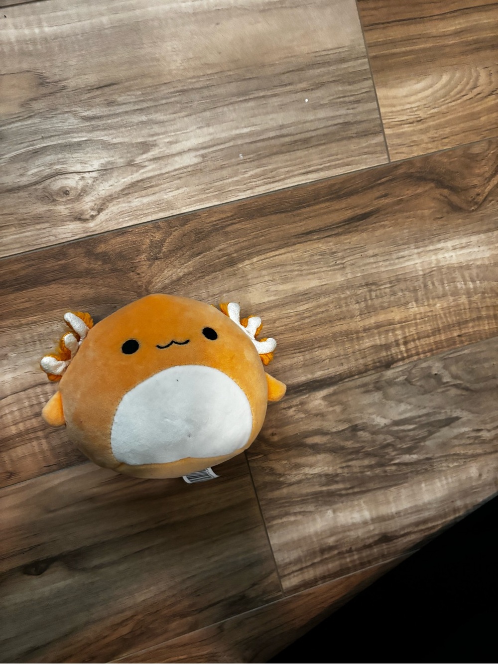 Cute Orange Axolotl Plush Toy - Round Kawaii Stuffed Squishmallows